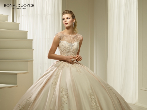 Wedding Dresses Devon3